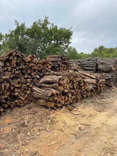 Bois de chauffage vente de stère de bois